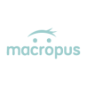 MACROPUS
